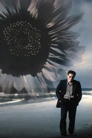 Постер к фильму "Фейерверк" #711002