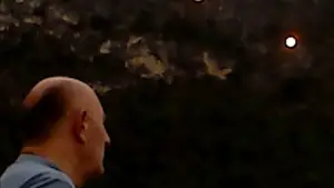 Задник к фильму "Сухой лист" #623402