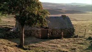 Задник к фильму "Тридцать семь и два по утрам" #485205