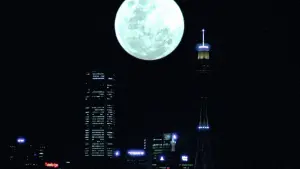 Задник к фильму "Вой 3" #491982