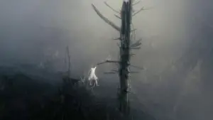 Задник к фильму "Антихрист" #723349