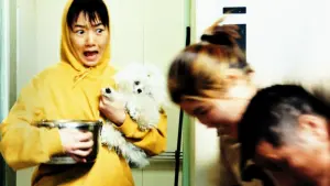 Задник к фильму "Лающие собаки никогда не кусают" #423111