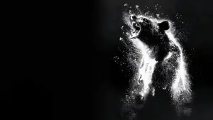 Задник к фильму "Кокаиновый медведь" #302313