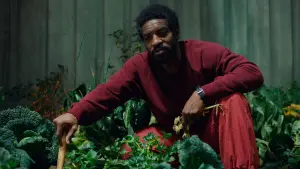 Задник к фильму "Высшее общество" #376867