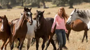 Задник к фильму "Восточный ветер 3: Наследие Оры" #423739