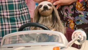 Задник к фильму "Мой ленивец-убийца" #430723