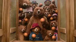 Задник к фильму "Приключения Паддингтона 3" #567559