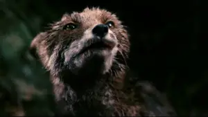 Задник к фильму "Антихрист" #723346