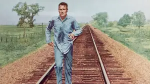 Задник к фильму "Хладнокровный Люк" #188456