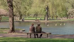 Задник к фильму "Умница Уилл Хантинг" #579862