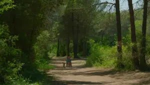 Задник к фильму "" #444427