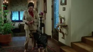 Видео к фильму Play Dead | Play Dead (1981) Video Classics Australia Trailer