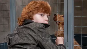 Задник к фильму "Буль и Билл" #501889