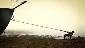 Задник к фильму "Королевство" #709099