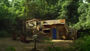 Задник к фильму "Короли лета" #245268