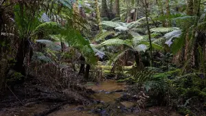 Задник к фильму "Город тайн: Исчезнувшая" #430483