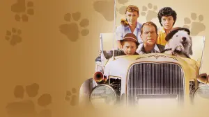 Задник к фильму "Лохматый пёс" #435490