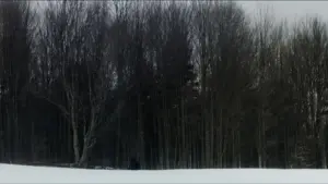 Задник к фильму "Астрал: Сомния" #399232