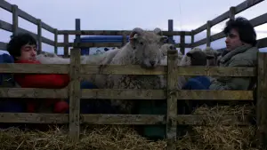 Задник к фильму "Американский оборотень в Лондоне" #701859