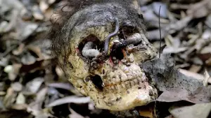 Задник к фильму "Ад каннибалов" #291719