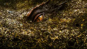 Задник к фильму "Хоббит: Пустошь Смауга" #584494