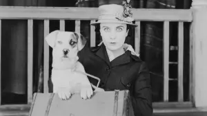 Задник к фильму "Собачья жизнь" #223315