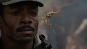 Задник к фильму "Хищник" #559801