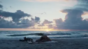 Задник к фильму "Рай в аду" #723320