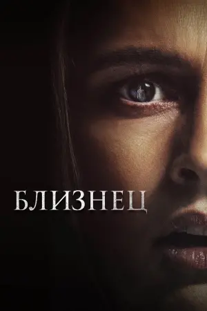 Постер к фильму "Близнец"