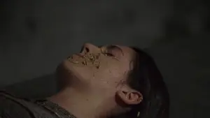 Задник к фильму "Суспирия" #252066