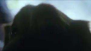 Задник к фильму "Хороший мальчик" #517222