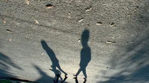 Задник к фильму "Древо жизни" #266186