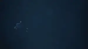 Задник к фильму "Я ругаюсь" #516773