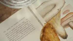 Задник к фильму "Призрачная нить" #671759