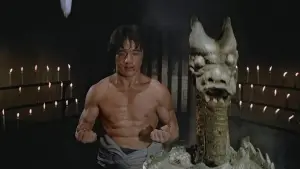 Задник к фильму "Последнее испытание Шаолиня" #400194