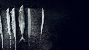 Задник к фильму "Дары моря: невероятная история Рабу-ди-Пейши" #693630