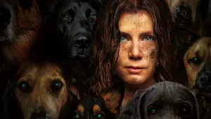 Задник к фильму "Ночная сучка" #643584