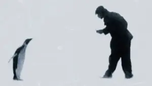 Задник к фильму "Bestiari, erbari, lapidari" #787086