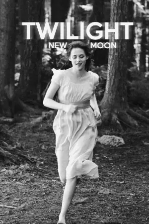 Постер к фильму "Сумерки. Сага: Новолуние" #480338