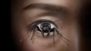 Задник к фильму "Демон контроля" #657820