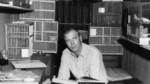 Задник к фильму "Любитель птиц из Алькатраса" #358110