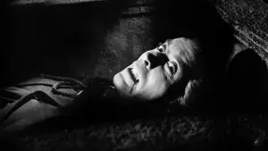 Задник к фильму "Дракула" #229692