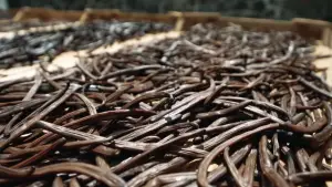 Задник к фильму "" #541705