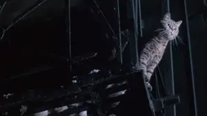 Задник к фильму "Сердце ангела" #741303