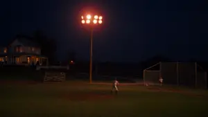 Задник к фильму "Поле чудес" #719604