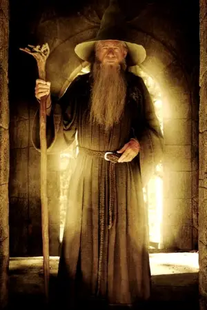 Постер к фильму "Властелин колец: Братство кольца" #515940