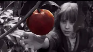 Задник к фильму "Фуриоса: Хроники Безумного Макса" #429933