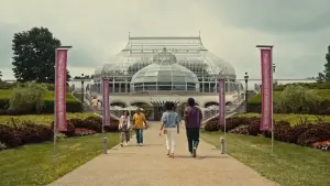 Задник к фильму "Всё возможно" #425505