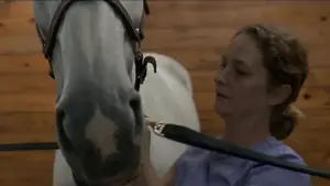 Задник к фильму "" #705979