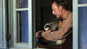 Задник к фильму "" #506443